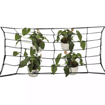 60x60cm 90x90cm Removable Hooks Scrog Net In Black Color